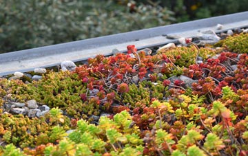 the cost of Bundalloch green roof installation